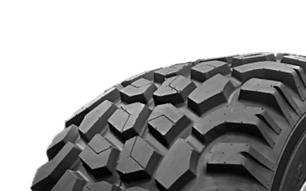 Agroindustriale Delcora 710/40-22.5 DELCORA EXC-GRIP 173A8 TL 710 / 40 R22.5